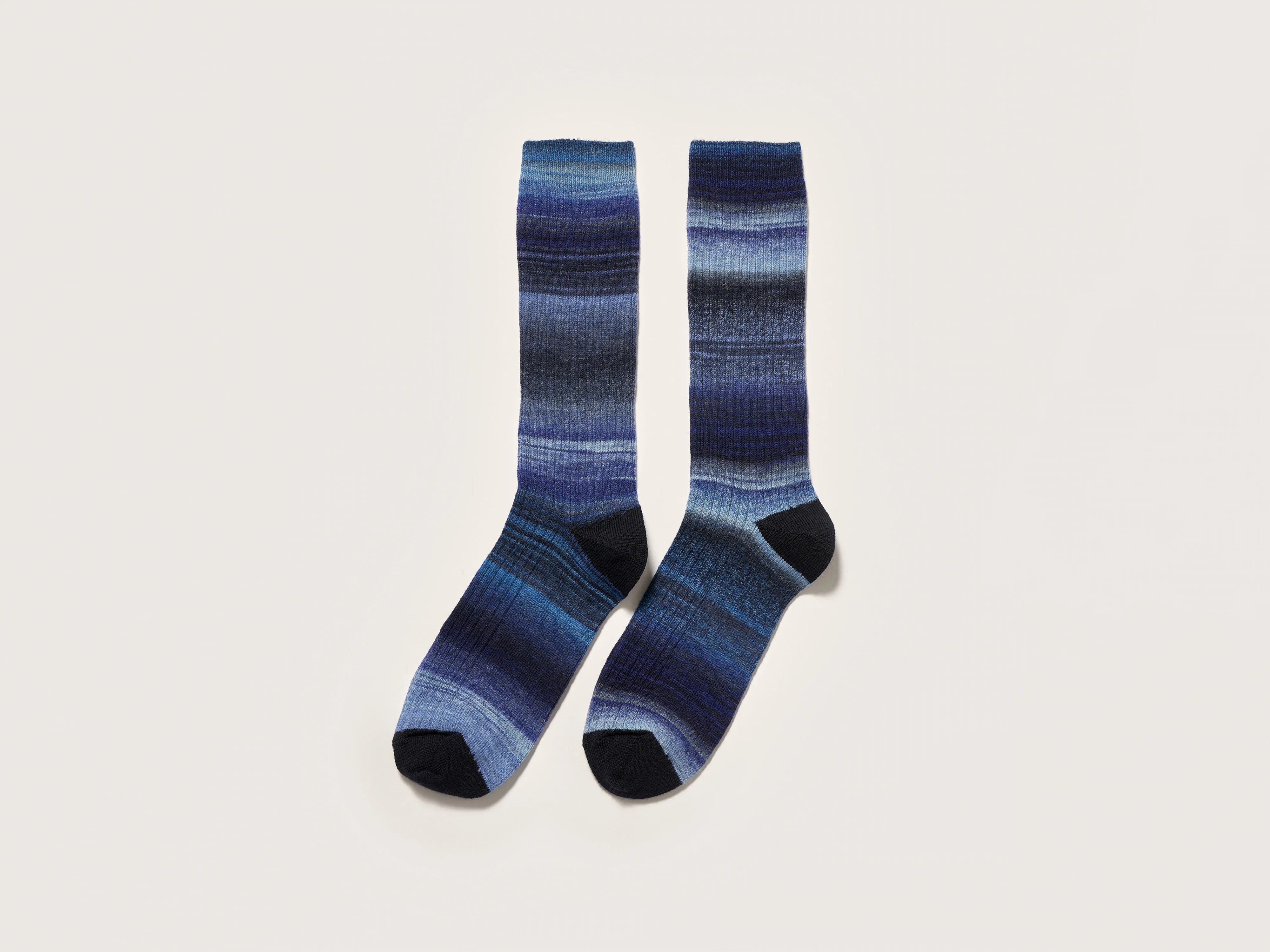 Baque rib-knit socks (242 / W / COMBO C)